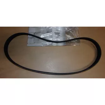 Courroie trapézoïdale à nervures OE OEM 030145933R