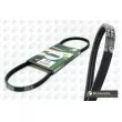 Courroie trapézoïdale à nervures BGA [3PK968]