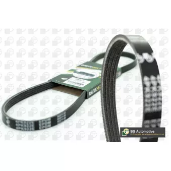 Courroie trapézoïdale à nervures BGA OEM 46759895