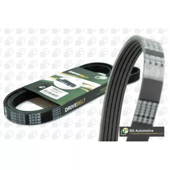 Courroie trapézoïdale à nervures BGA 5PK1084
