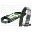 Courroie trapézoïdale à nervures BGA [5PK1495]