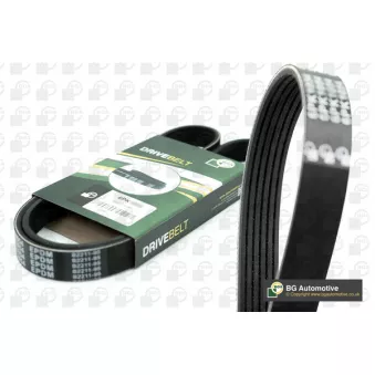 Courroie trapézoïdale à nervures BGA 6PK1453