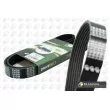 Courroie trapézoïdale à nervures BGA [7PK1020]