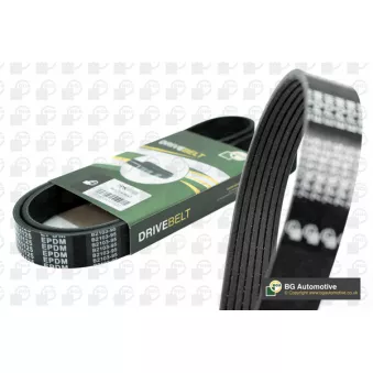 Courroie trapézoïdale à nervures BGA 7PK1220