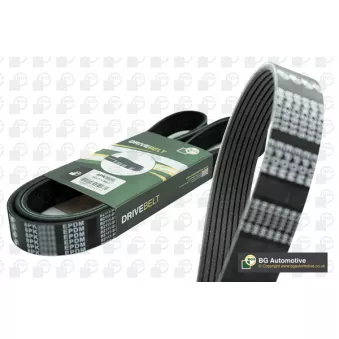Courroie trapézoïdale à nervures BGA 8PK1120