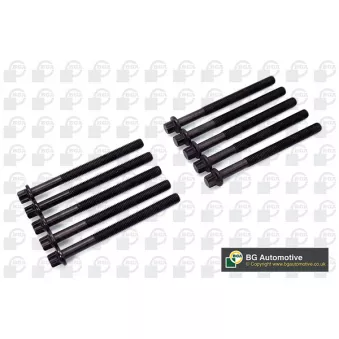 Jeu de boulons de culasse de cylindre BGA OEM 0204C4