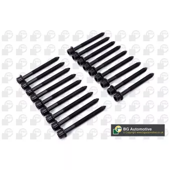 Jeu de boulons de culasse de cylindre BGA OEM 110565M300