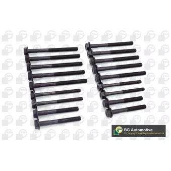 Jeu de boulons de culasse de cylindre BGA OEM ERR1939