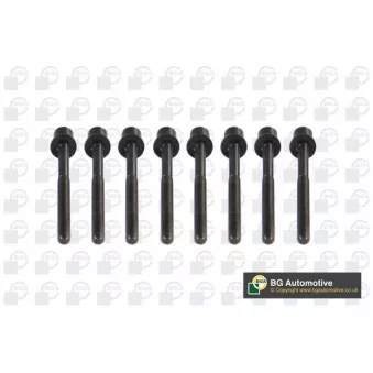 Jeu de boulons de culasse de cylindre BGA OEM 2810160500