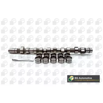 Jeu d'arbres à came BGA OEM 074109101J