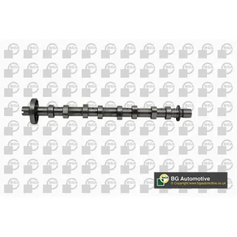 Arbre à came BGA OEM 1302006289R