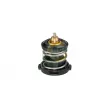 BGA CT9624 - Thermostat, liquide de refroidissement