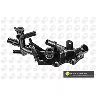Bride de liquide de refroidissement BGA OEM 110608635r