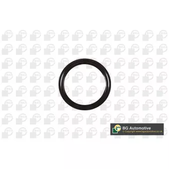 Bague d'étanchéité, vilebrequin BGA OEM 6176472
