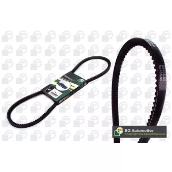 Courroie trapézoïdale BGA OEM FD03231001