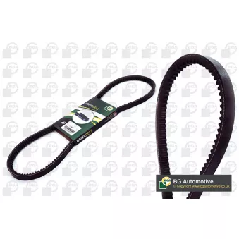Courroie trapézoïdale BGA OEM 978751