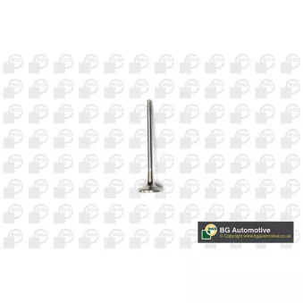 BGA V141081 - Soupape d'émission