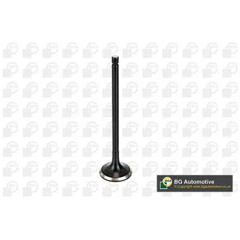 BGA V166041 - Soupape d'émission