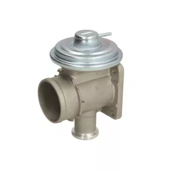 Vanne EGR MEAT & DORIA [88193]