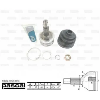 Embout de cardan avant (kit de réparation) PASCAL OEM 495003K060
