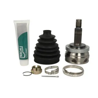 Joint, arbre de commande PASCAL OEM 495003K370