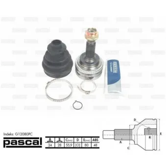 Embout de cardan avant (kit de réparation) PASCAL OEM 434100D150