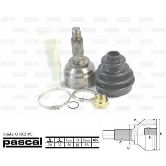 PASCAL G13021PC - Embout de cardan avant (kit de réparation)