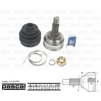 PASCAL G14019PC - Embout de cardan avant (kit de réparation)