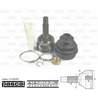 PASCAL G15023PC - Embout de cardan avant (kit de réparation)