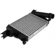 Intercooler, échangeur TEKNÖR [CNG-RE-013]