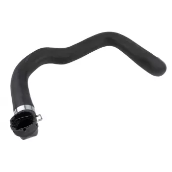 TEKNÖR CPP-FT-019 - Durite de radiateur