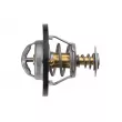 TEKNÖR CTM-VW-092 - Thermostat, liquide de refroidissement