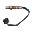 TEKNÖR ESL-BM-027 - Sonde lambda