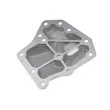 TEKNÖR FSF-NS-012 - Filtre hydraulique, boîte automatique