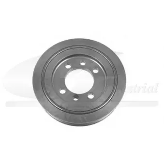 3RG 10273 - Poulie, vilebrequin