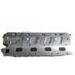 FRECCIA CH17-1038 - Culasse de cylindre