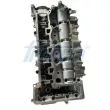 FRECCIA CH17-1057 - Culasse de cylindre