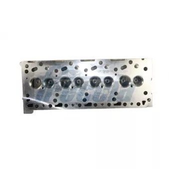 Culasse de cylindre FRECCIA OEM 500355509