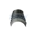 FRECCIA CR19-102410 - Kit de coussinets de bielle