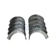 Kit de coussinet de vilebrequin FRECCIA [MB19-101300]