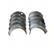 FRECCIA MB19-101607 - Kit de coussinet de vilebrequin