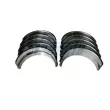 Kit de coussinet de vilebrequin FRECCIA [MB19-102700]