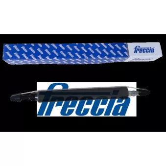 Jeu de 2 amortisseurs arrière FRECCIA OEM 33526779985