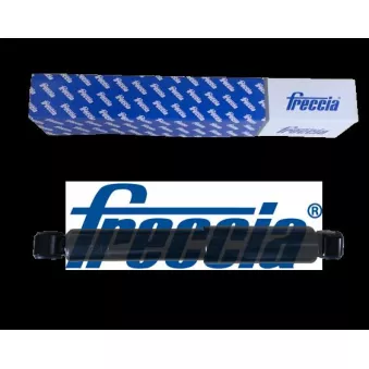 Jeu de 2 amortisseurs arrière FRECCIA OEM 5206VG
