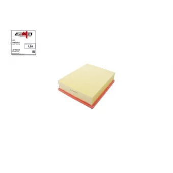 Filtre à air AUTOMEGA [180020610]