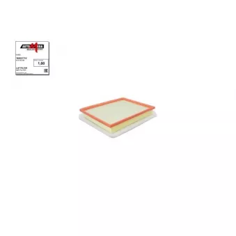 Filtre à air AUTOMEGA [180021710]
