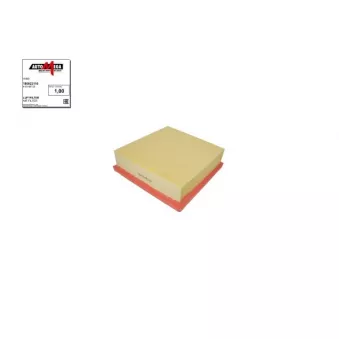 Filtre à air AUTOMEGA 180022110