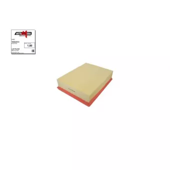 Filtre à air AUTOMEGA [180023510]
