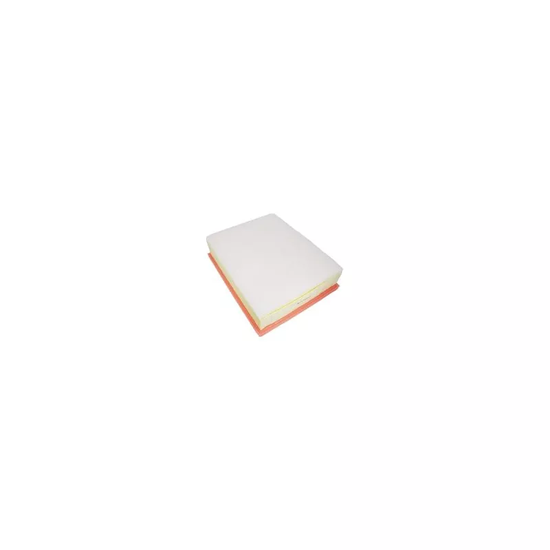 Filtre à air AUTOMEGA 180024510 - Visuel 1