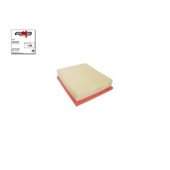Filtre à air AUTOMEGA [180024910]